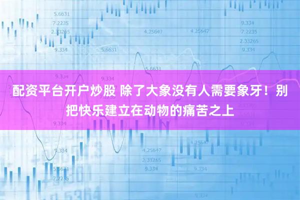 配资平台开户炒股 除了大象没有人需要象牙！别把快乐建立在动物的痛苦之上