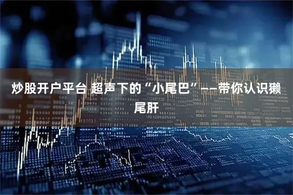 炒股开户平台 超声下的“小尾巴”——带你认识獭尾肝